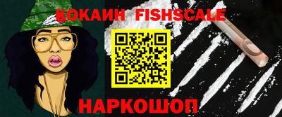 крисы Славгород