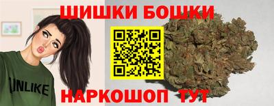 крисы Славгород