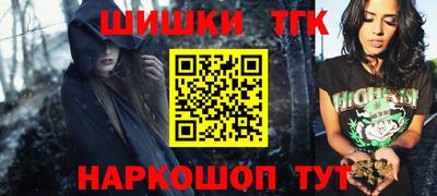 крисы Славгород