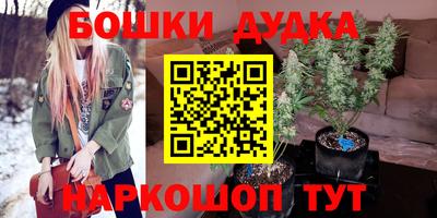 крисы Славгород