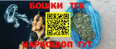 крисы Славгород