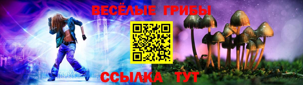 Псилоцибиновые грибы прущие грибы  Вход с VPN  Полевской 